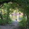 tabitha_r599